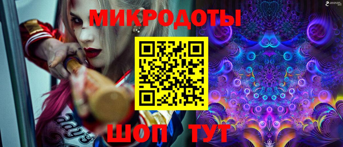 Галлюциногенные грибы Psilocybine cubensis Шарыпово