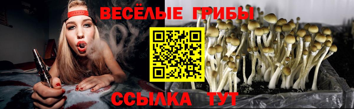 Шарыпово  Псилоцибиновые грибы прущие грибы  Вход с VPN  Галлюциногенные грибы ЛСД 